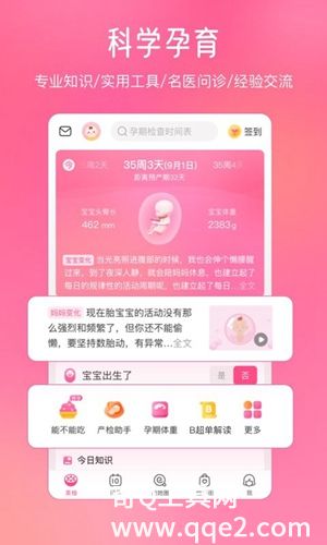 美柚app下载安装最新