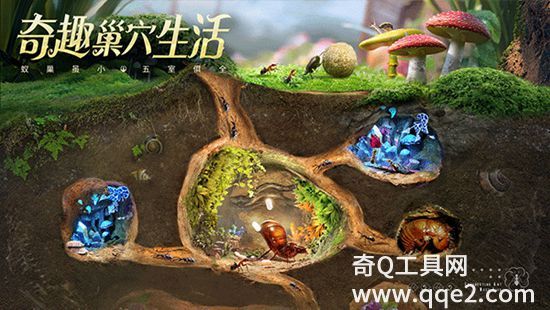 小小蚁国下载最新版2023