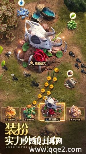 小小蚁国最新免费下载安装