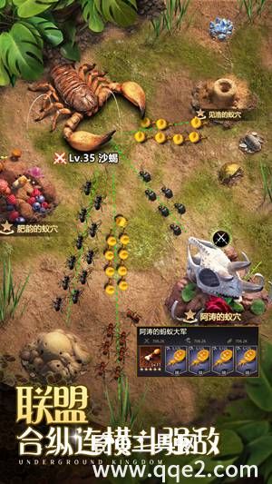 小小蚁国最新免费下载安装