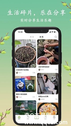 探枝安卓版下载