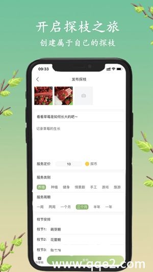 探枝
