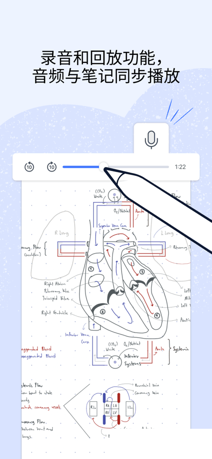 notability2023版最新下载官方