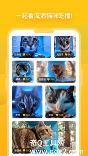 街猫app最新版下载免费