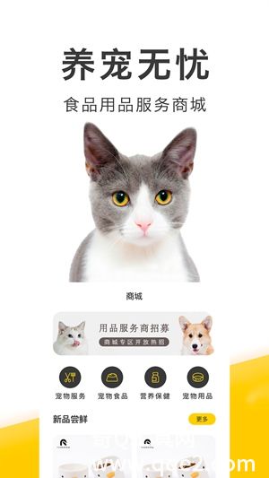 买只宠物app最新版下载