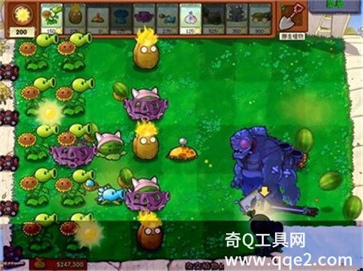 植物大战僵尸杂交版2024最新版